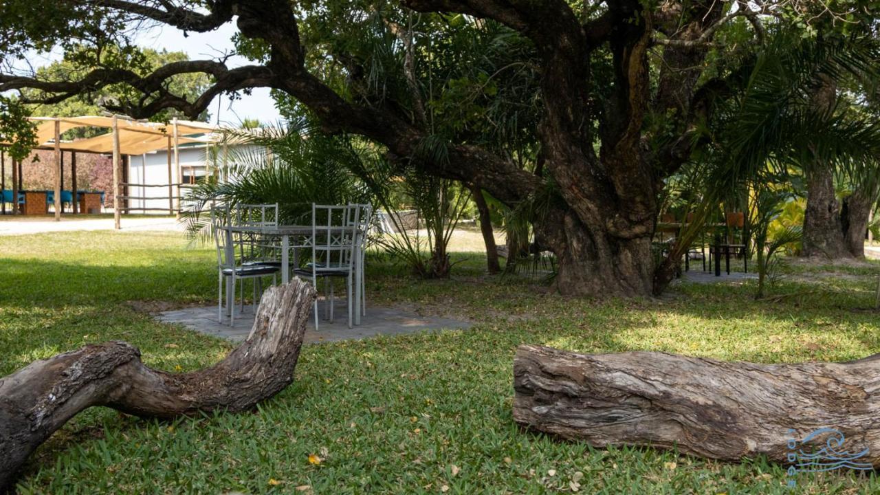 Lodge Umusa KwaMazambane ภายนอก รูปภาพ